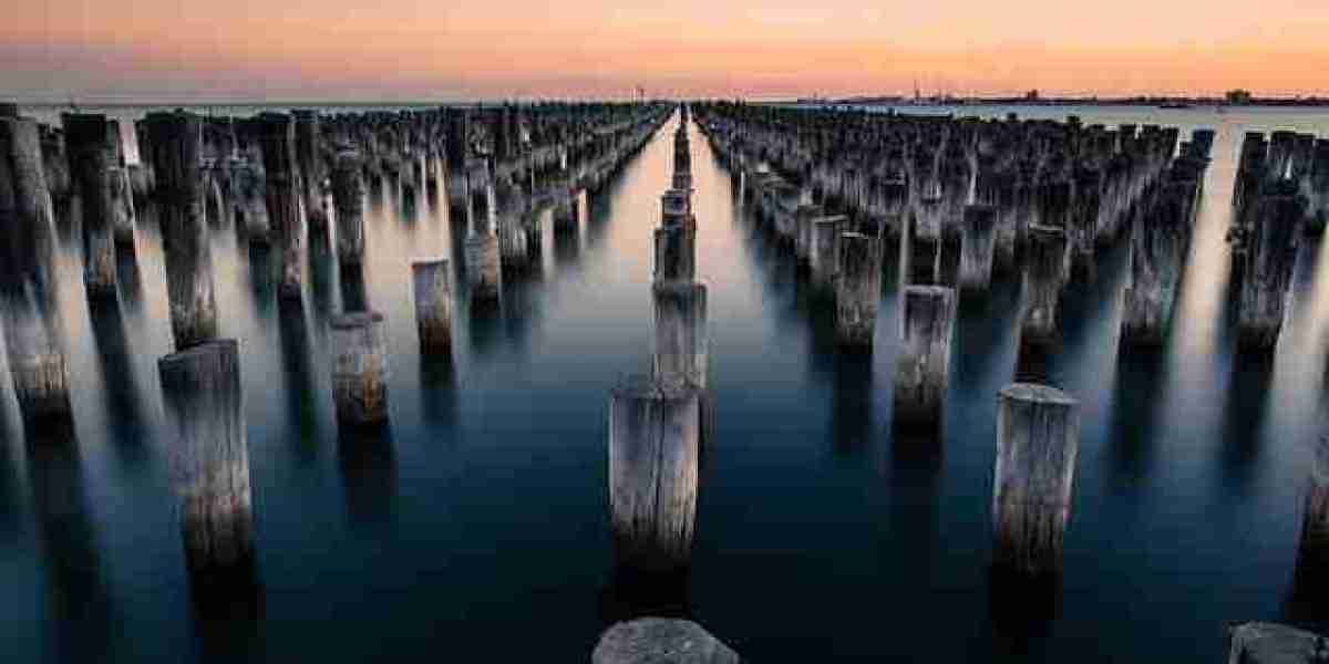 wild sultan casino télécharger application