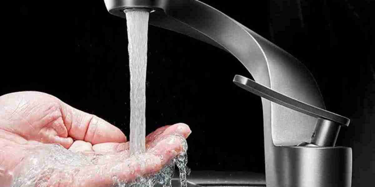 South Africa Faucet Market Size, Share, Growth, and Forecast 2025-2033