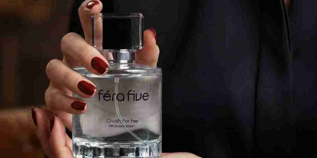 Best Premium Perfume Collections for Beginners