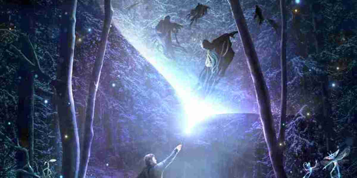 Forbidden Forest Experience – Magical Night at Arley Hall