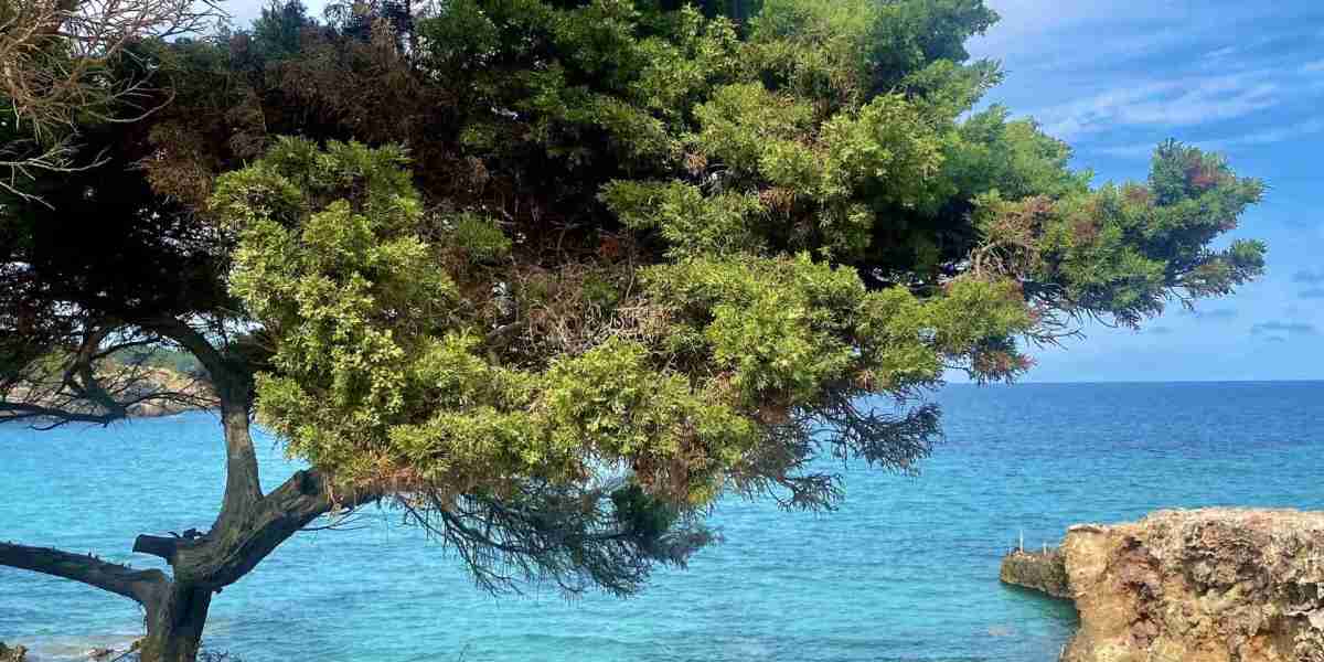  Retraite yoga pour femmes