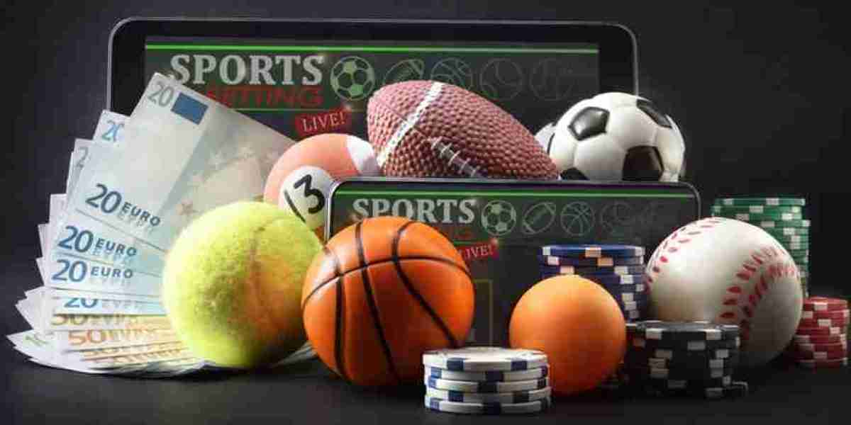 L’Impact de la Formation et de l’Information sur un meilleur site de paris sportif