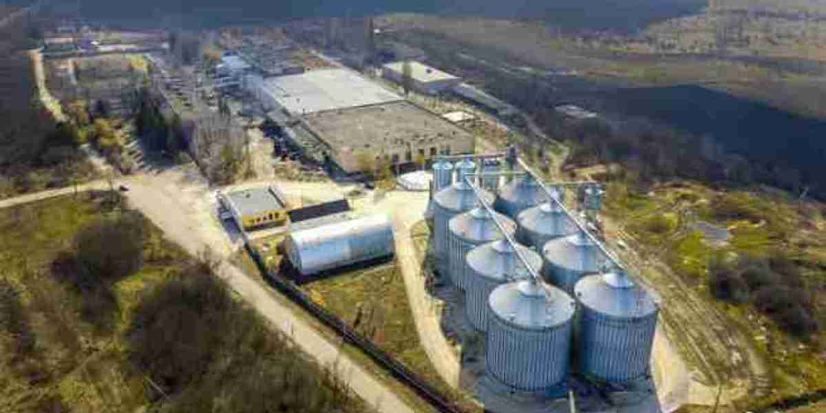 Heavy-Duty Transport Solutions for Modern Industrial Logistics