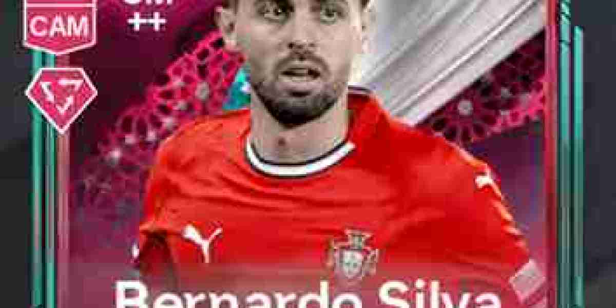 Bernardo Mota Carvalho e Silva - Ultimate Guide