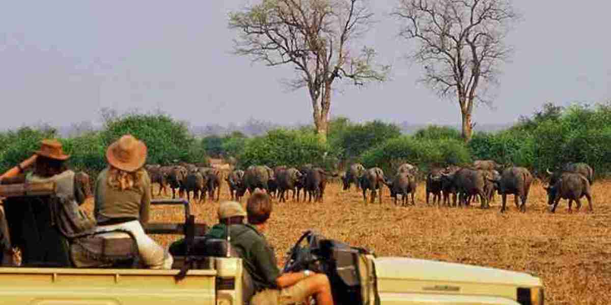 Rwanda Travel Advice