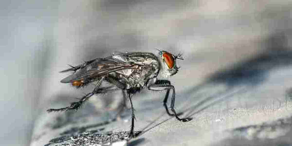 madnix casino en ligne