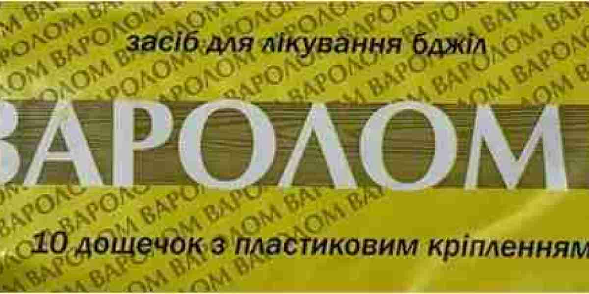 Международные перспективы: как подготовить документы для англоязычных стран