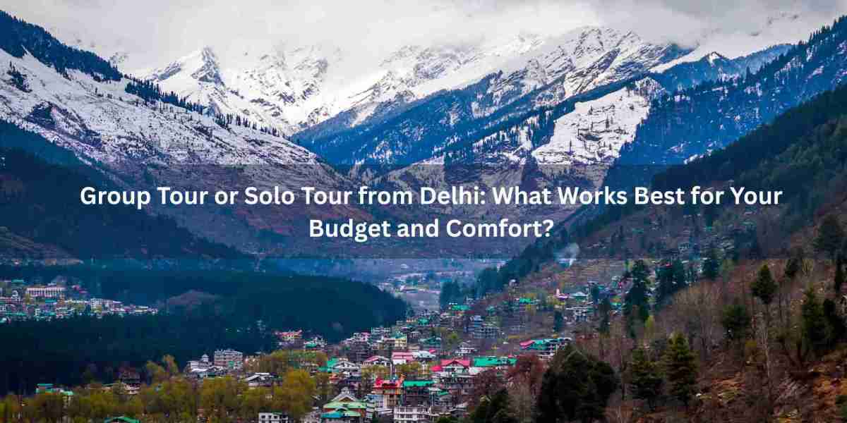 Group Tour or Solo Tour from Delhi: What Works Best for Your Budget and Comfort?
