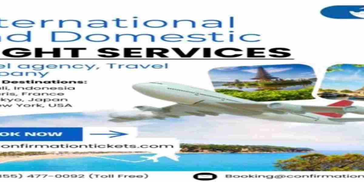 Book Budget Flights Online and Travel for Less