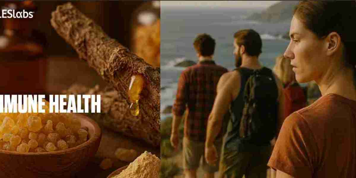 Immunological Architecture and Cellular Defense: A Technical Overview of Systemic Resilience