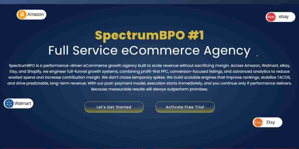 Case Study 1: Brand Revenue Grows From $175K to $4.3M Using Amazon Agency