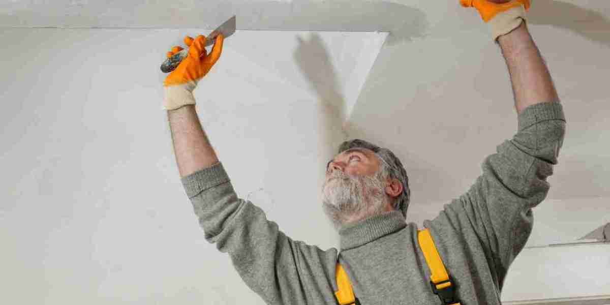 Top Rated Plastering Service Auckland You Can Trust