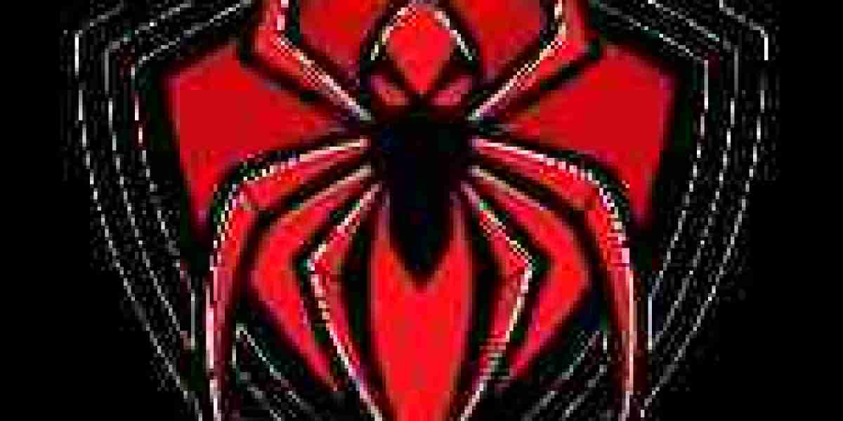 Why Fashion Fans Choose Comme des Garcons and Spider Hoodie