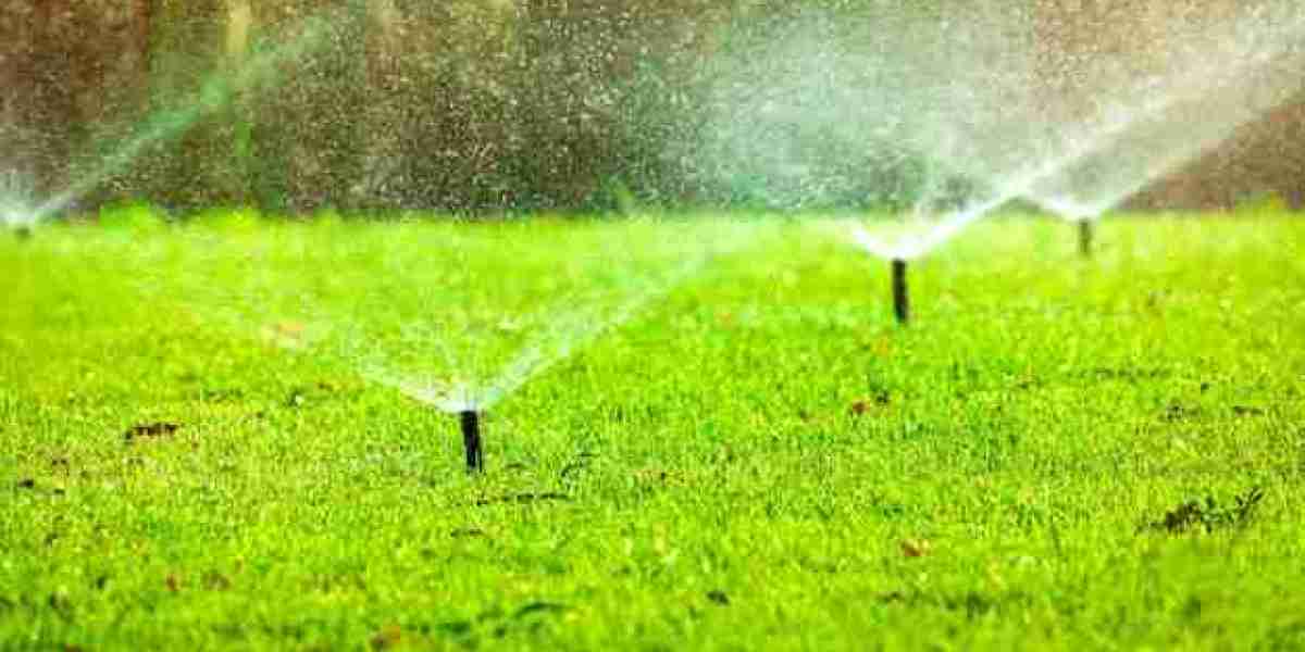 Sprinkler Irrigation Company in Las Vegas: Building Efficient and Beautiful Outdoor Spaces