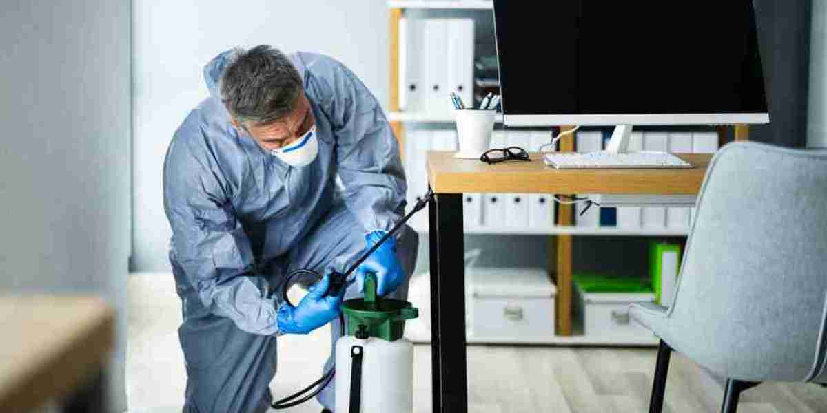 Protect Your Property with Professional Termite Treatment in Coolangatta