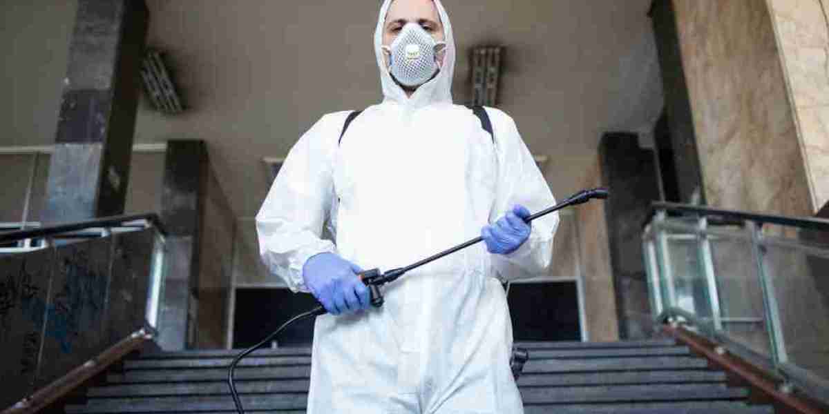 Pest Control Services in Colorado: Complete Protection for Your Home and Business