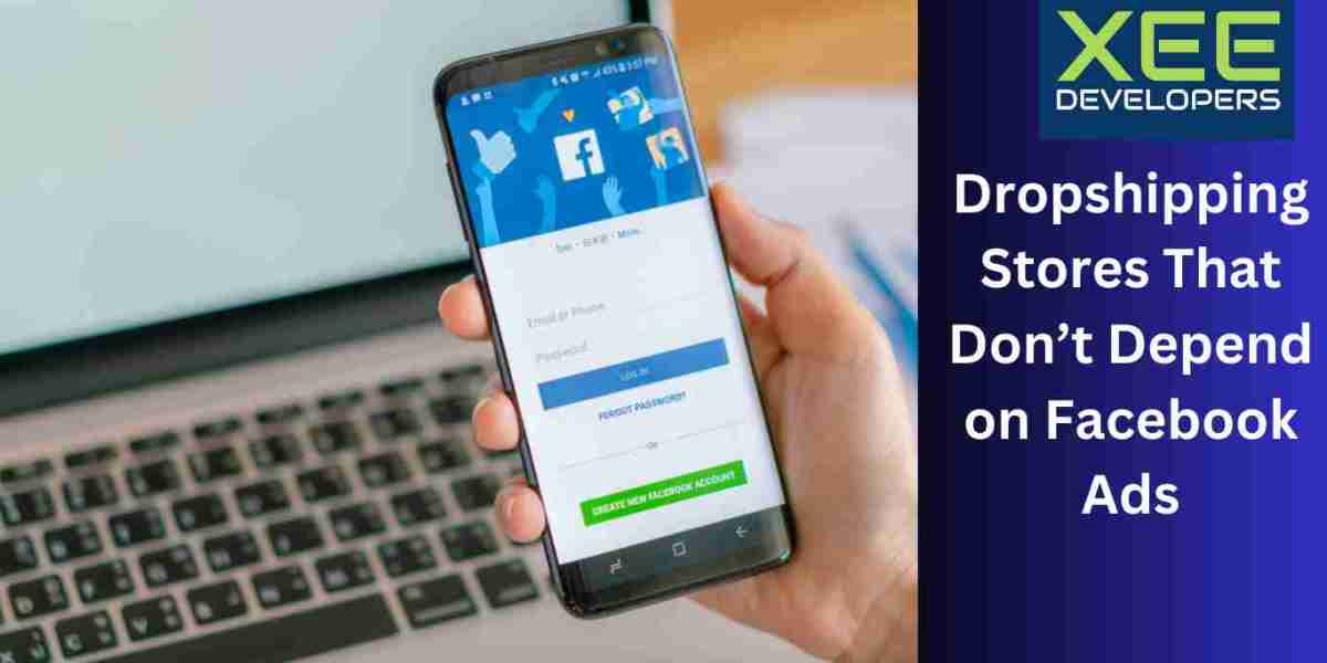 Dropshipping Stores That Don’t Depend on Facebook Ads