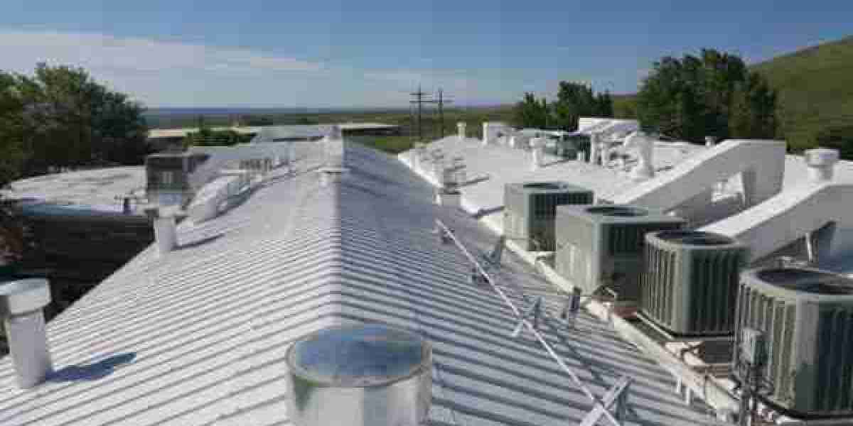 Denver Roof Repair