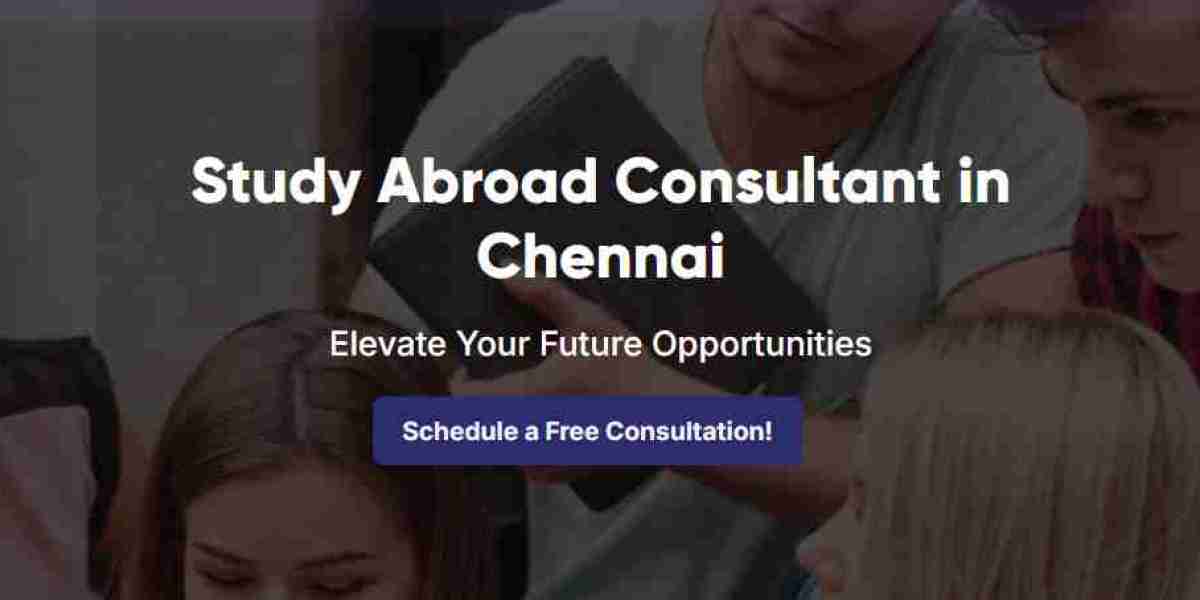 UK study visa consultants
