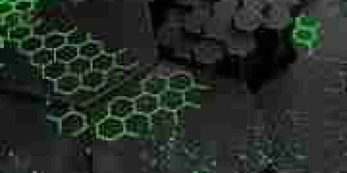 Playinexch365 User Interface Overview: Simple and Smart Design