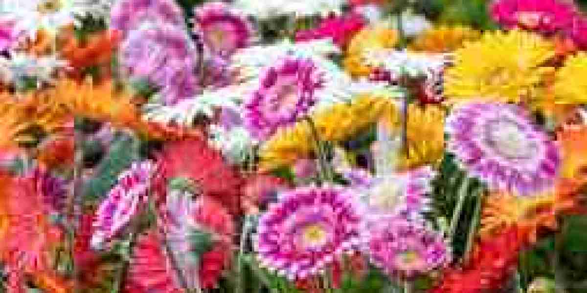 Blooming Growth: Global Floriculture Market Trends and Forecast to 2030