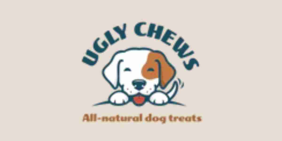 Healthy Handmade Dog Treats: Nutritious Rewards for Your Dog