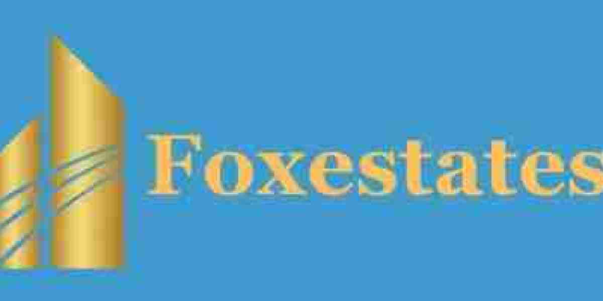 Jon Boast Net Worth: Career, Income Sources, and Financial Growth