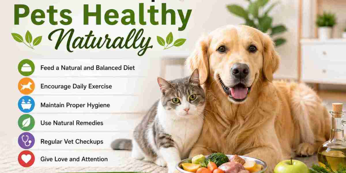 Common Pet Diseases and Treatment (Happysptes Guide)