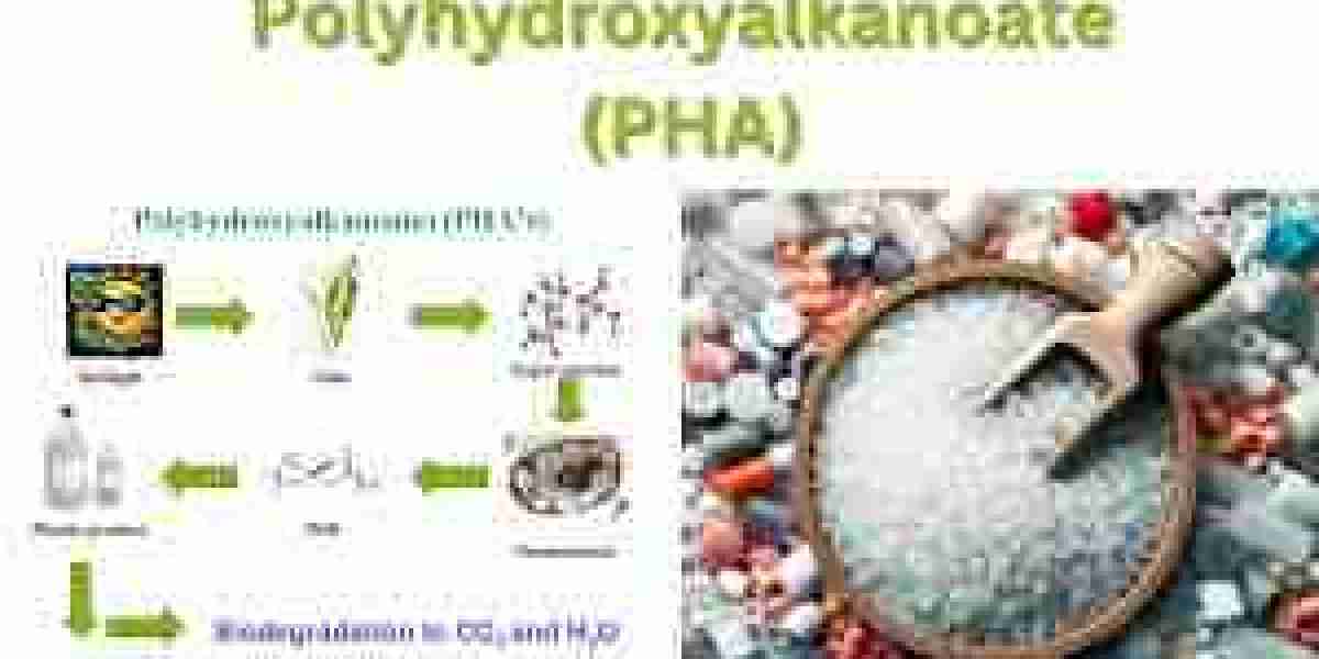 Polyhydroxyalkanoate (PHA) Market Set for Robust Expansion Amid Rising Demand for Sustainable Bioplastics