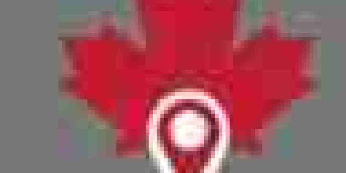 UAE Express Entry Filing Help