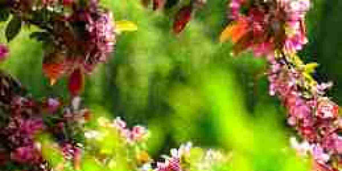 The Timeless Appeal of Watches: More Than Just a Way to Tell Time