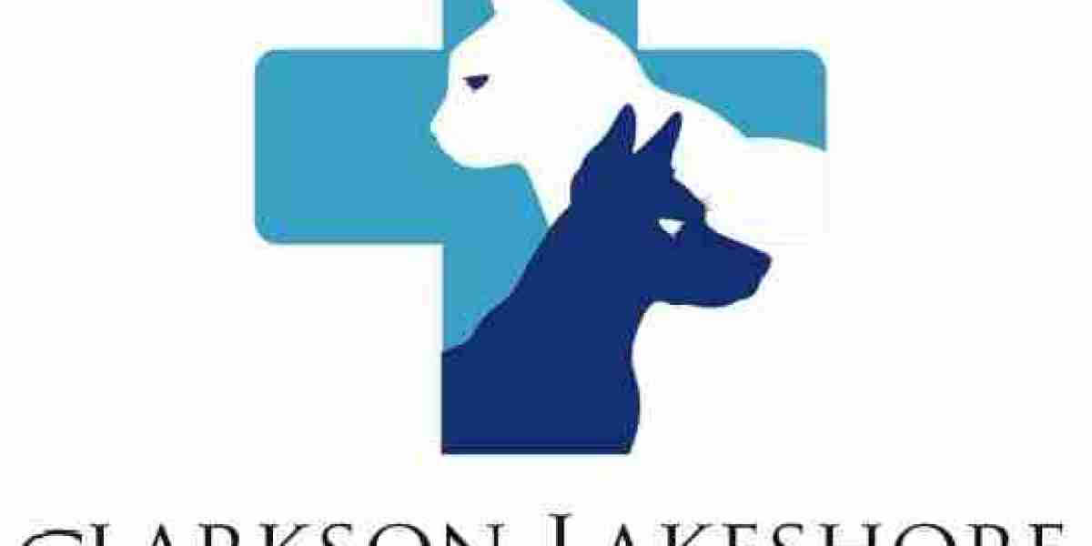 How Do Vets Perform Dog Teeth Cleaning Mississauga Safely