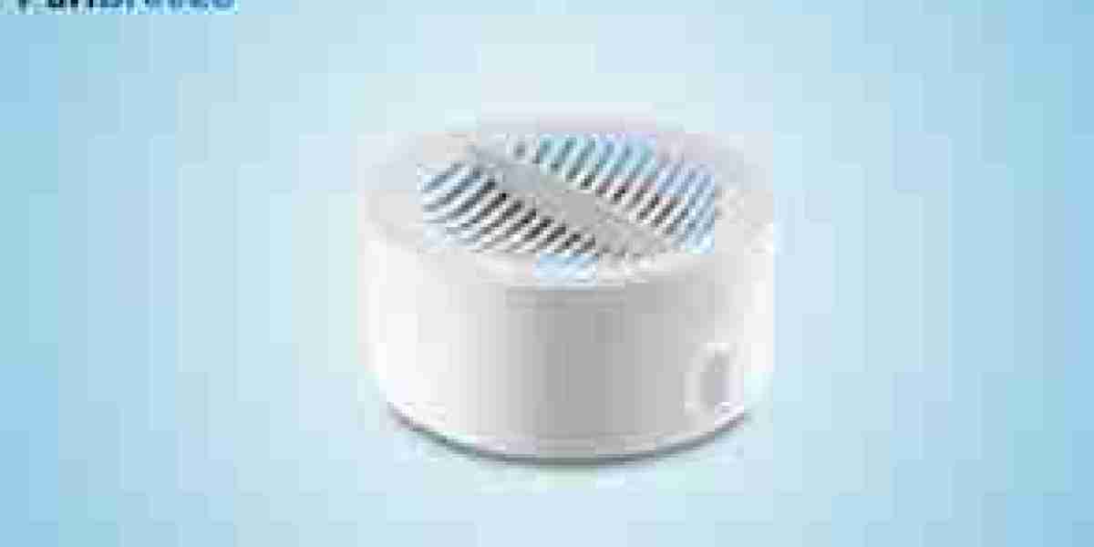 Frische neu erleben: PuriBreeze reinigen Obst und Gemüse in Minuten