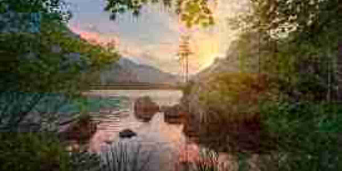 The Power of Oil: A Deep Dive into Its Importance, Uses, and Future