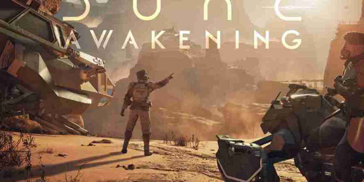 Vault Space in Desert MMO – Players Demand Expansion