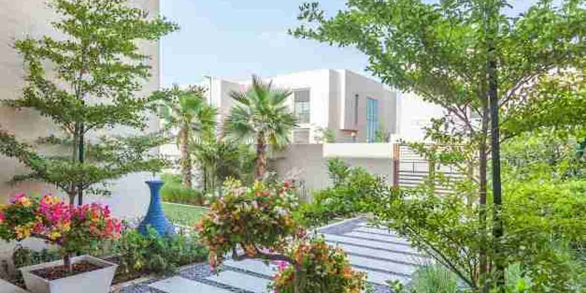 Elevating Outdoor Living: The Art of Luxury Pool Design in Dubai
