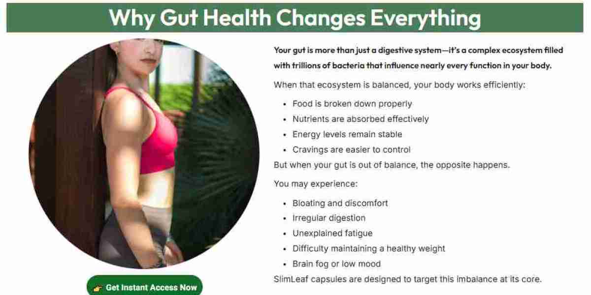 SlimLeaf – Unadulterated. Luminance. Efficient.