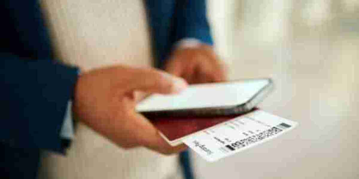 The Smart Way to Use a Dummy Flight Ticket for Visa Success