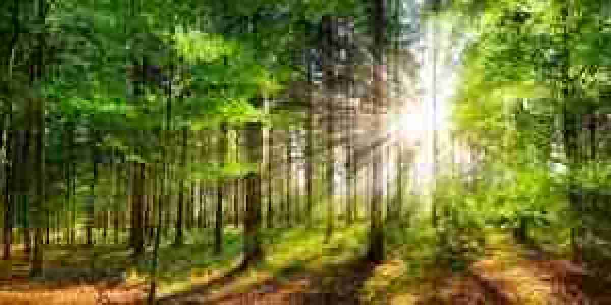 The Timeless Value of Silver: History, Uses, and Modern Appeal