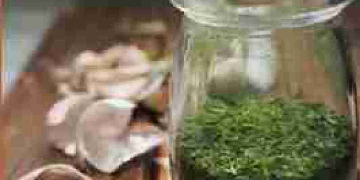 Thera Wolf: Fast-Acting Balm for Muscle Recovery and Skin Care