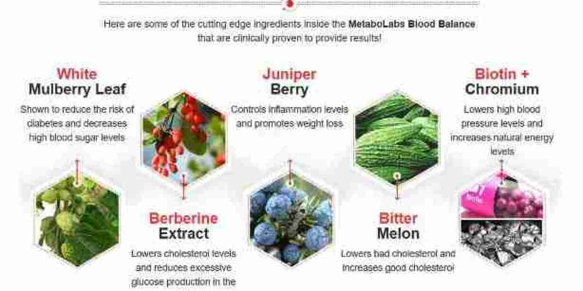 Reach Your Best Health with Metabo Labs Blood Balance