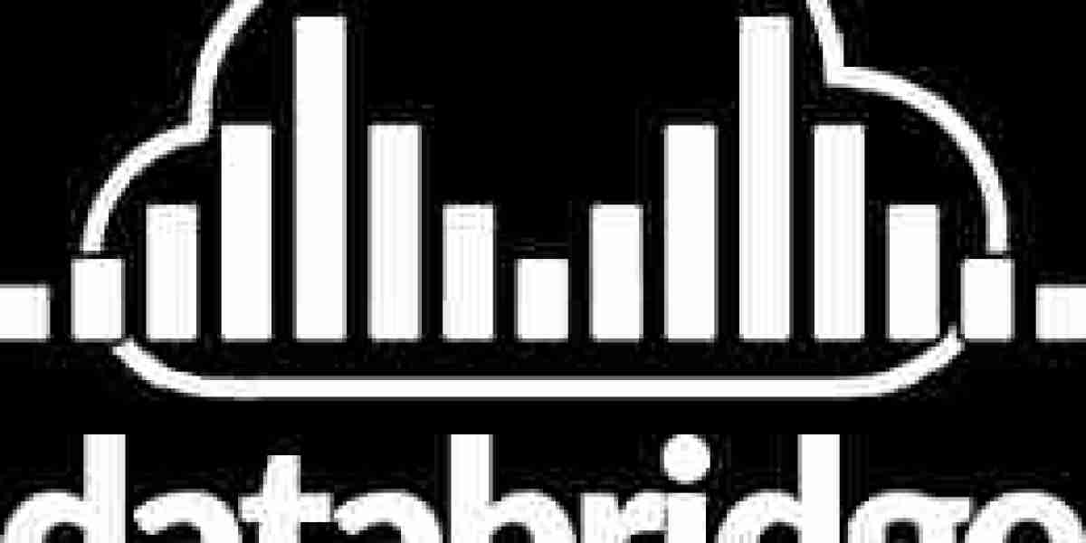 Global Digital Storage Devices Market Outlook: Navigating Growth Trends Through 2033