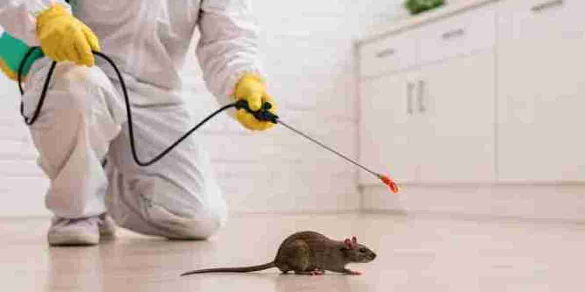 Rodents Pest Control