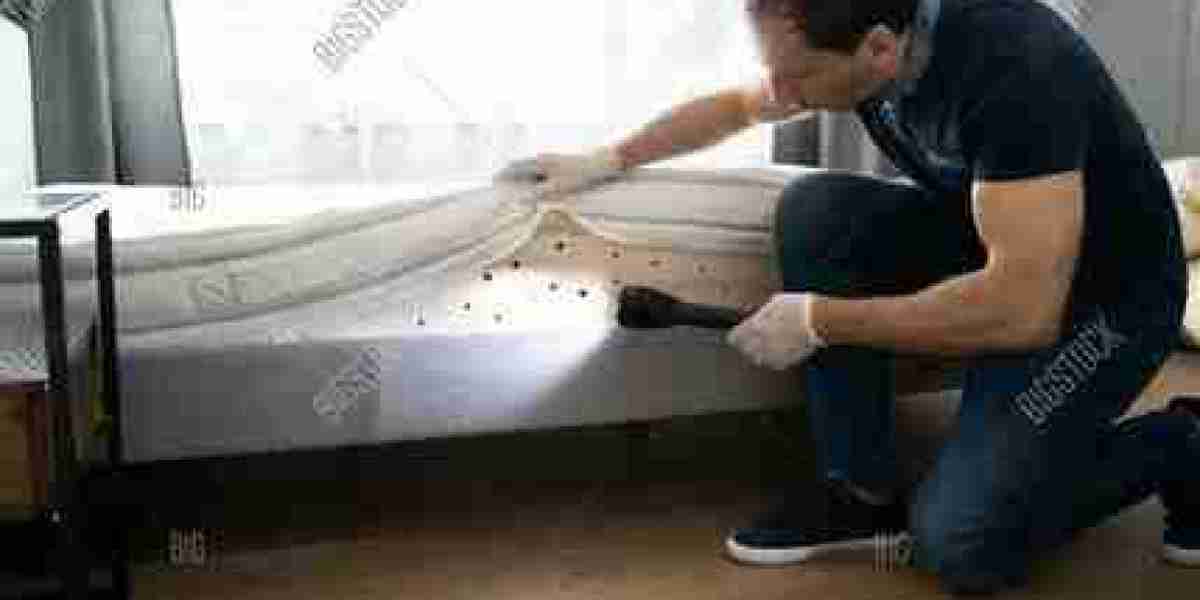 How Fumigation Services Saved My Hostel from a Bed Bug Bites Treatment Nightmare