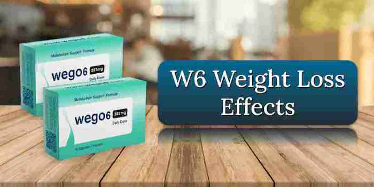 Wego6 Kapseln im Test 2026 – Vorteile, Inhaltsstoffe & Abnehmerfolge