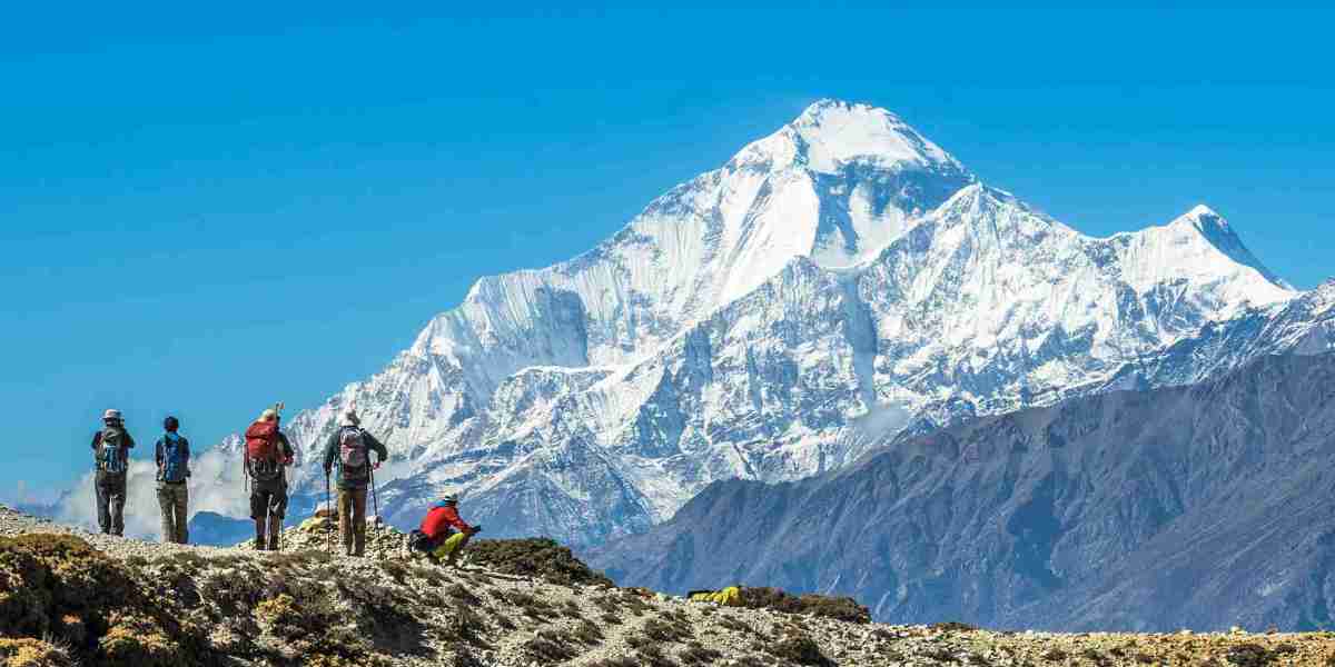 Navigating the Rugged Terrain of the North