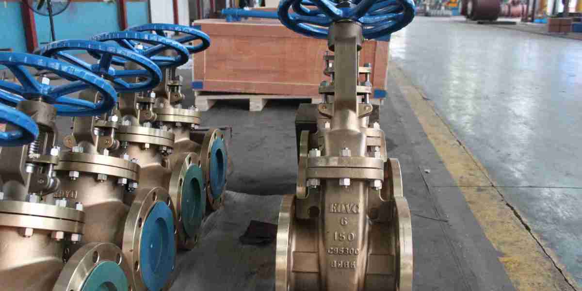 The Hidden Hero of Fluid Control: Understanding the Check Valve