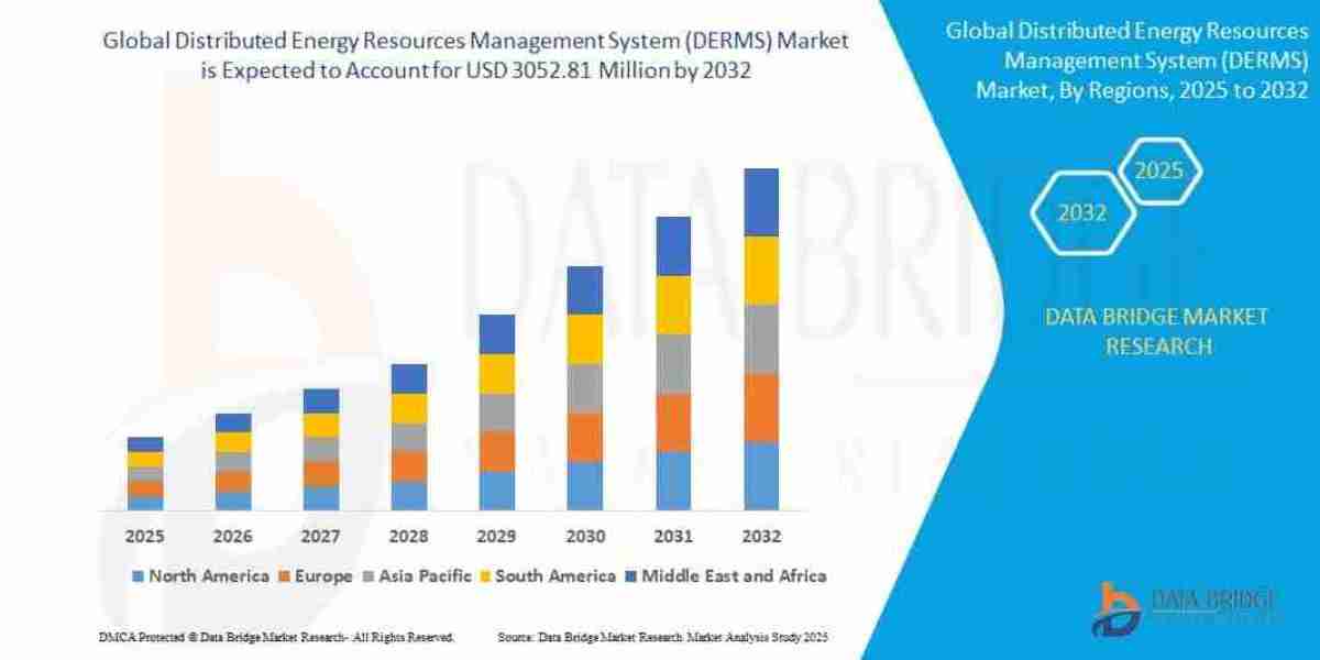DERMS Market Size, Trends & Future Growth Opportunities