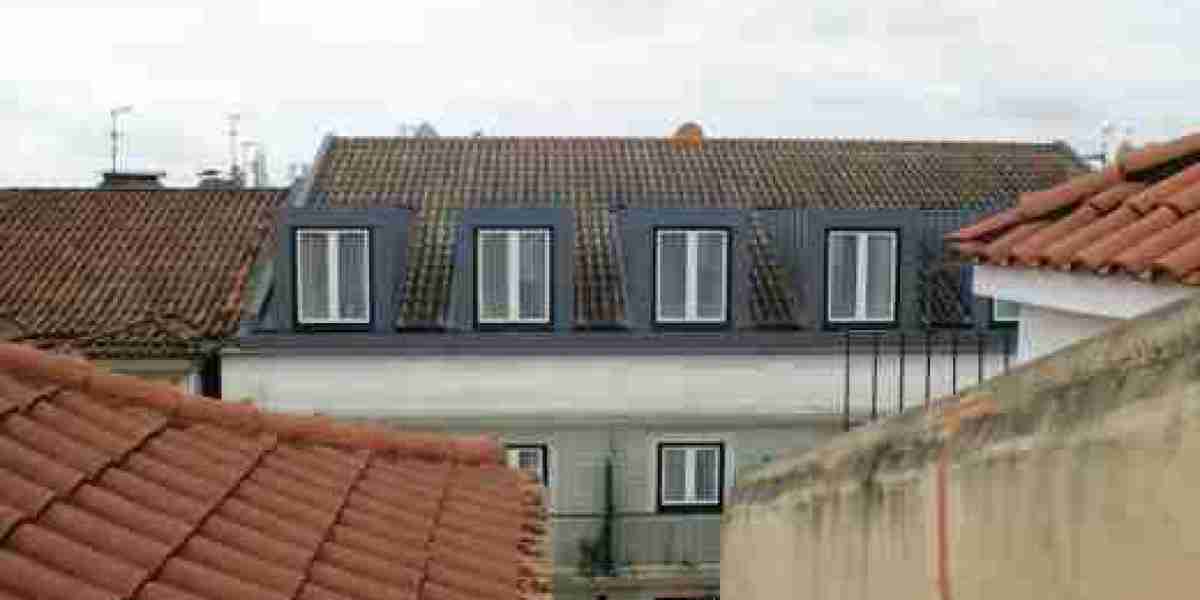 Meesterschap in Daktechniek: Innovatie en Duurzaamheid in Leiden voor 2026