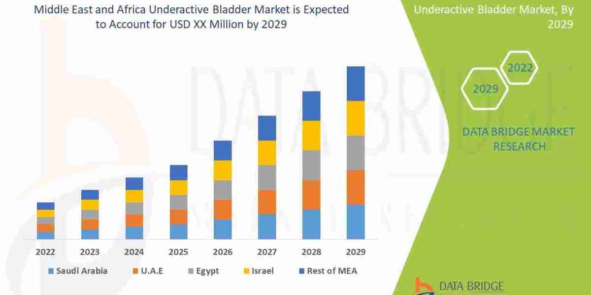 Middle East and Africa Underactive Bladder Market Overview and Future Trends